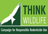 Think Wildlife
